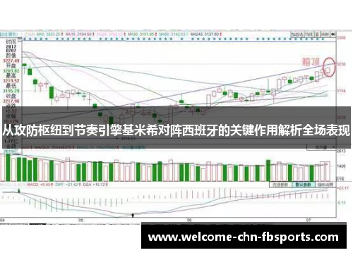 从攻防枢纽到节奏引擎基米希对阵西班牙的关键作用解析全场表现